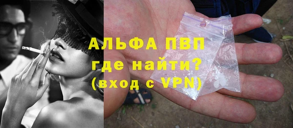 стафф Елизово