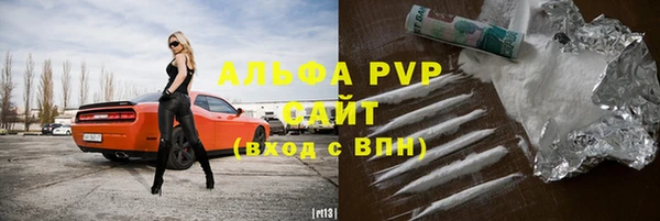 стафф Елизово