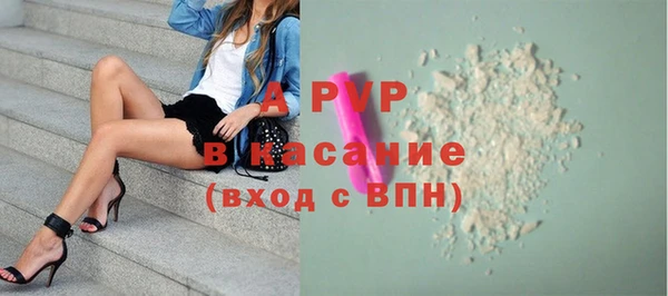 стафф Елизово