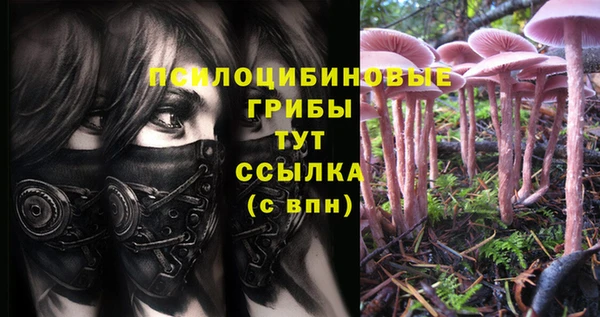 амф Ельня