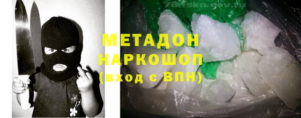 амф Ельня