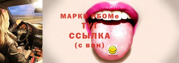 амф Ельня