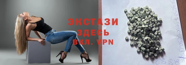 амф Ельня