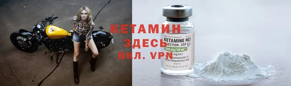 стафф Елизово