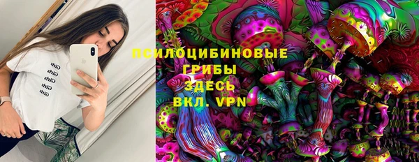 стафф Елизово