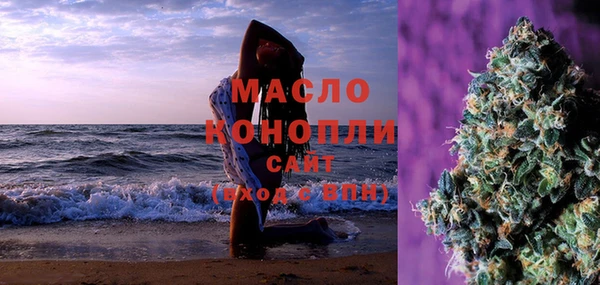 амф Ельня