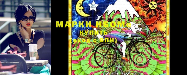 амф Ельня