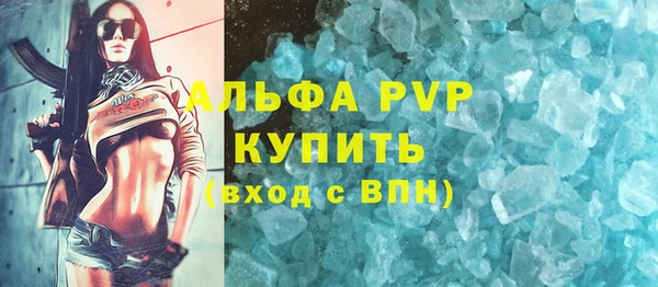 амф Ельня