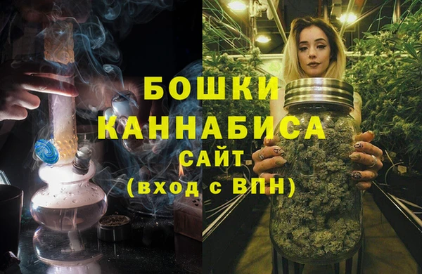 стафф Елизово