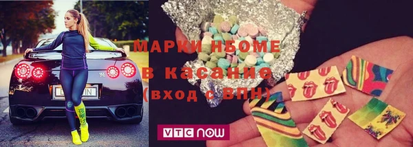 амф Ельня