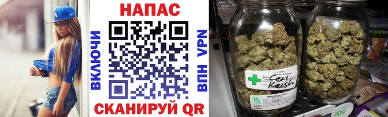 Бошки марихуана THC 21%  Купить закладки  Кропоткин 